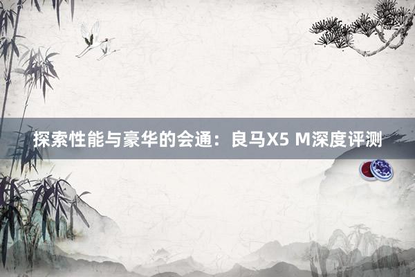 探索性能与豪华的会通：良马X5 M深度评测